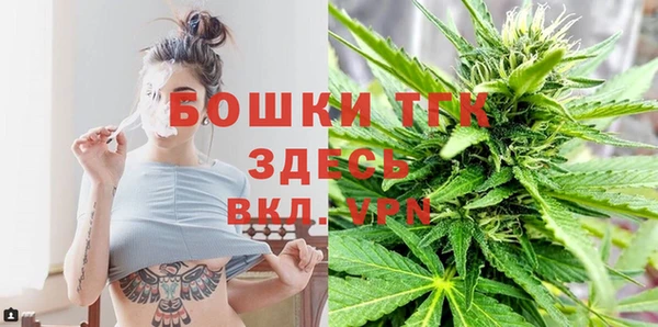 амф Костерёво