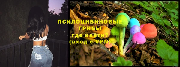 амф Костерёво